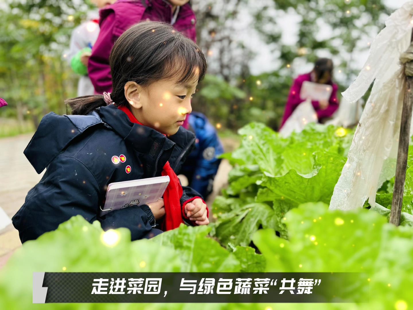 美好學校|留校時光，走出教室，與綠色蔬菜共舞